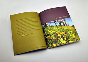 CSWA Sustainability Report